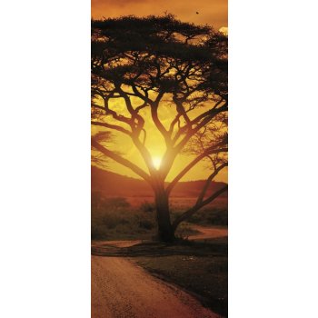ForWall Fototapeta na dveře Africa Sunset samolepící 91 x 211 cm