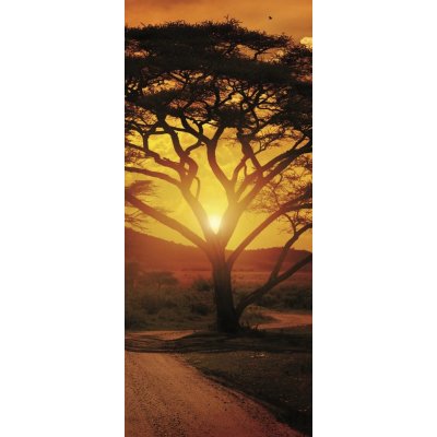 ForWall Fototapeta na dveře Africa Sunset samolepící 91 x 211 cm – Zboží Mobilmania