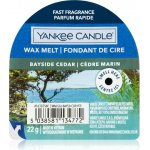 Yynke Candle Bayside Cedar vonný vosk do aromalampy 22 g – Hledejceny.cz