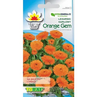 MĚSÍČEK LÉKAŘSKÝ ZÁKRSLÝ ORANGE GEM - Calendula officinalis /75 SEMEN/