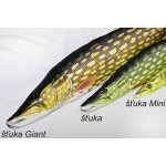 Gaby Štika obecná 80 cm – Zbozi.Blesk.cz