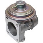 AGR-Ventil MAGNETI MARELLI 571822112095 – Hledejceny.cz
