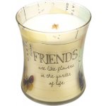 WoodWick Vanilla Bean 275 g – Zboží Mobilmania