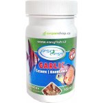 EasyFish Garlic vločky 100 ml – Zboží Dáma