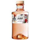 G'Vine June Gin Liqueur 30% 0,7 l (holá láhev)