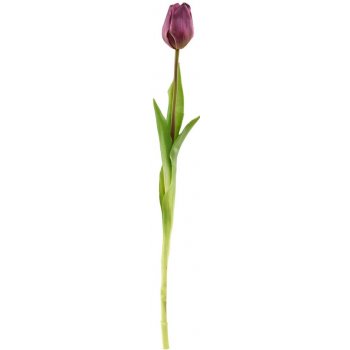 Butlers FLORISTA Tulipán - fialová