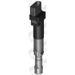 Zapalovací cívka BorgWarner (BERU) ZSE089 – Hledejceny.cz
