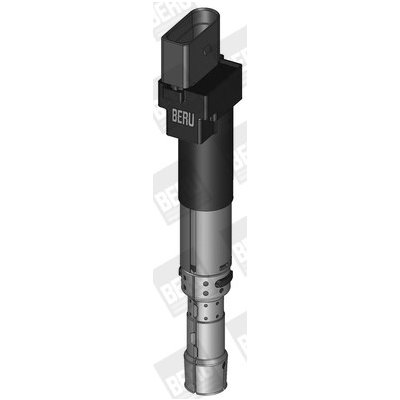 Zapalovací cívka BorgWarner (BERU) ZSE089 – Hledejceny.cz