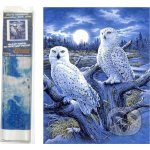 Norimpex Diamantové malování Sovice sněžní 30 x 40 cm – Zboží Mobilmania