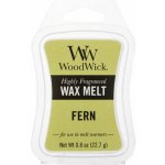 WoodWick vonný vosk do aroma lampy Kapradina 22,7 g – Zboží Dáma