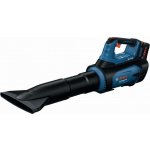 Bosch GBL 18V-800 Professional 06008D2200 – Zbozi.Blesk.cz