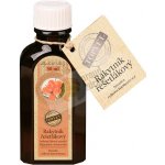 Green idea Rakytník tinktura 50 ml – Hledejceny.cz