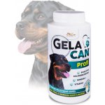 Orling Gelacan Plus Profi 1000 g – Hledejceny.cz