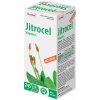 Dr.Max Jitrocel bez cukru 245 ml