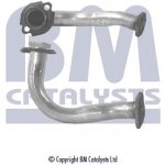BM CATALYSTS BM70095 – Hledejceny.cz