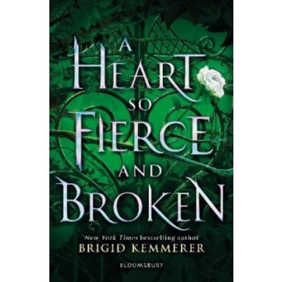 A Heart So Fierce and Broken - Brigid Kemmerer