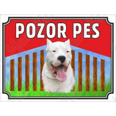 Pozor pes - Argentinská doga, plast 210 x 148 x 0,5 mm A5 – Sleviste.cz