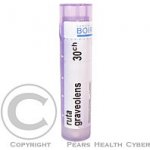 RUTA GRAVEOLENS POR 15CH GRA 4G – Hledejceny.cz