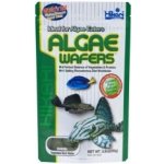 Hikari Algae Wafers 250 g – Zbozi.Blesk.cz