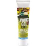 Virde Varix gel Forte 100 ml – Hledejceny.cz