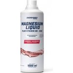 Energy Body Magnesium Liquid 1 l – Hledejceny.cz