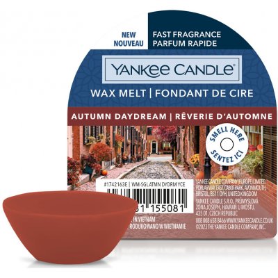Yankee Candle Autumn Daydream vonný vosk 22 g – Zboží Mobilmania