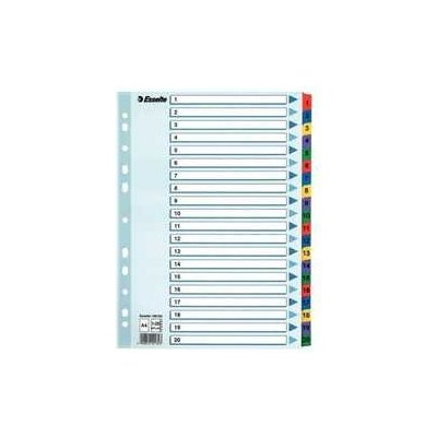ESSELTE Zesílené rejstříky Mylar, mix barev, karton, A4, 1-20, ESSELTE 16885