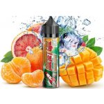 Jace Liquids Rocket Girl Mango Boost Shake & Vape 15 ml – Zbozi.Blesk.cz