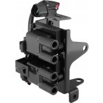 Zapalovací cívka BorgWarner (BERU) ZS611 – Hledejceny.cz