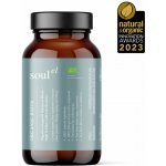 Soulel Biota Bio prášek pro podporu zažívání s obsahem prebiotik a fermentů 100 g – Hledejceny.cz
