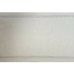 Arachne – Sleviste.cz