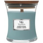 WoodWick Evergreen Cashmere 609,5 g – Zboží Dáma