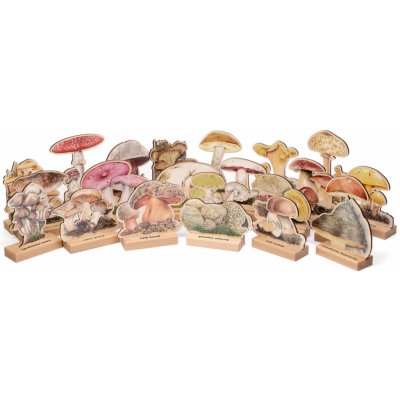 Lesní svět Poznej houby – Sleviste.cz