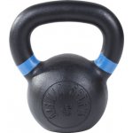 SEDCO KETTLEBELL VINYL COATED 12 kg – Hledejceny.cz