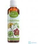 Serafin Lichořeřišnice tinktura z pupenů 50 ml – Hledejceny.cz