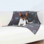 Trixie Flísová deka BEANY – Hledejceny.cz