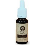 Energie rostlin Bachovy esence 17 Hornbeam Esence energie 20 ml – Hledejceny.cz