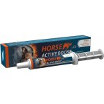 Horse Active Boost perorální pasta 20 g – Hledejceny.cz