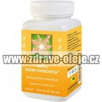 TCM herbs patentní medicína Nápoj ze zlatého kořene 100 g – Hledejceny.cz