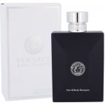 Versace Pour Homme Dylan Blue sprchový gel 250 ml – Hledejceny.cz