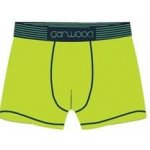 Garwood boxerky chlapecké světle zelené – Zboží Dáma