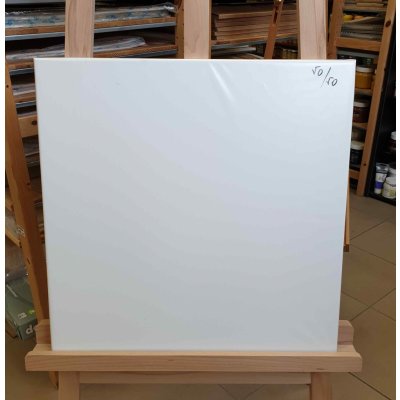 Profi malířské plátno umělecké 50x50 cm – Zboží Dáma
