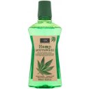 Xoc Hemp Mouthwash ústní voda s konopným extraktem 500 ml