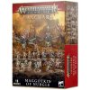 Desková hra GW Warhammer Vanguard : Maggotkin of Nurgle