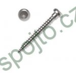 Vrut pro tesařské kování 4,8x40 PHH TX20 ZB – Zboží Mobilmania