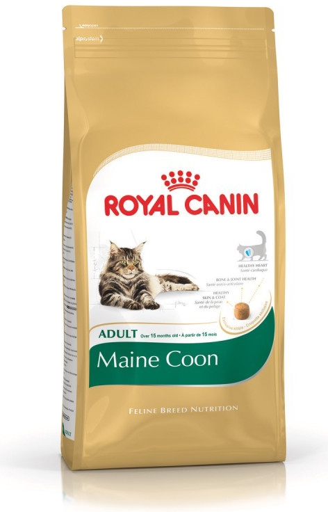 Royal Canin MV FN MAINCOON 31 10 kg