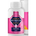 Altervet Cartilan MSM+kurkumin 130 g 100 tbl – HobbyKompas.cz