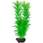 Tetra Green Cabomba Plus 23 cm – Zboží Mobilmania