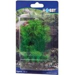 Hobby Egeria 13 cm – Sleviste.cz
