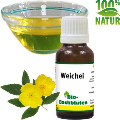 cdVet Bio Bachovy květy - Bázlivost 20 ml – Hledejceny.cz